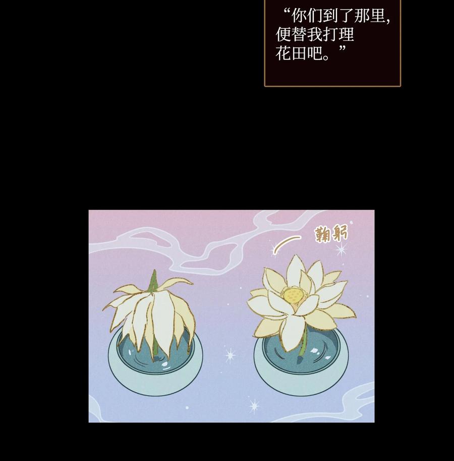 64 兄弟之花49