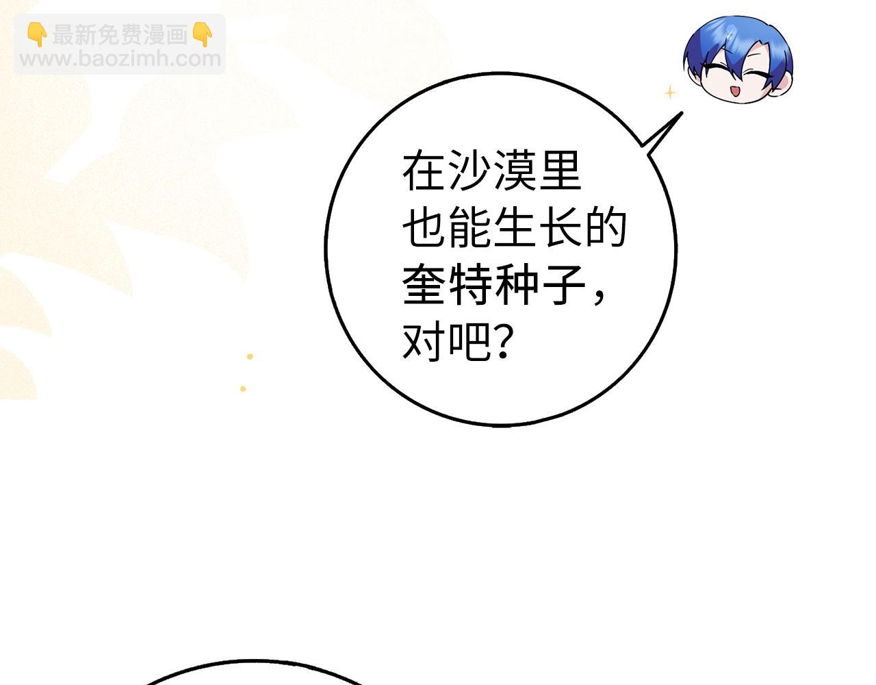 第26话 精灵石10