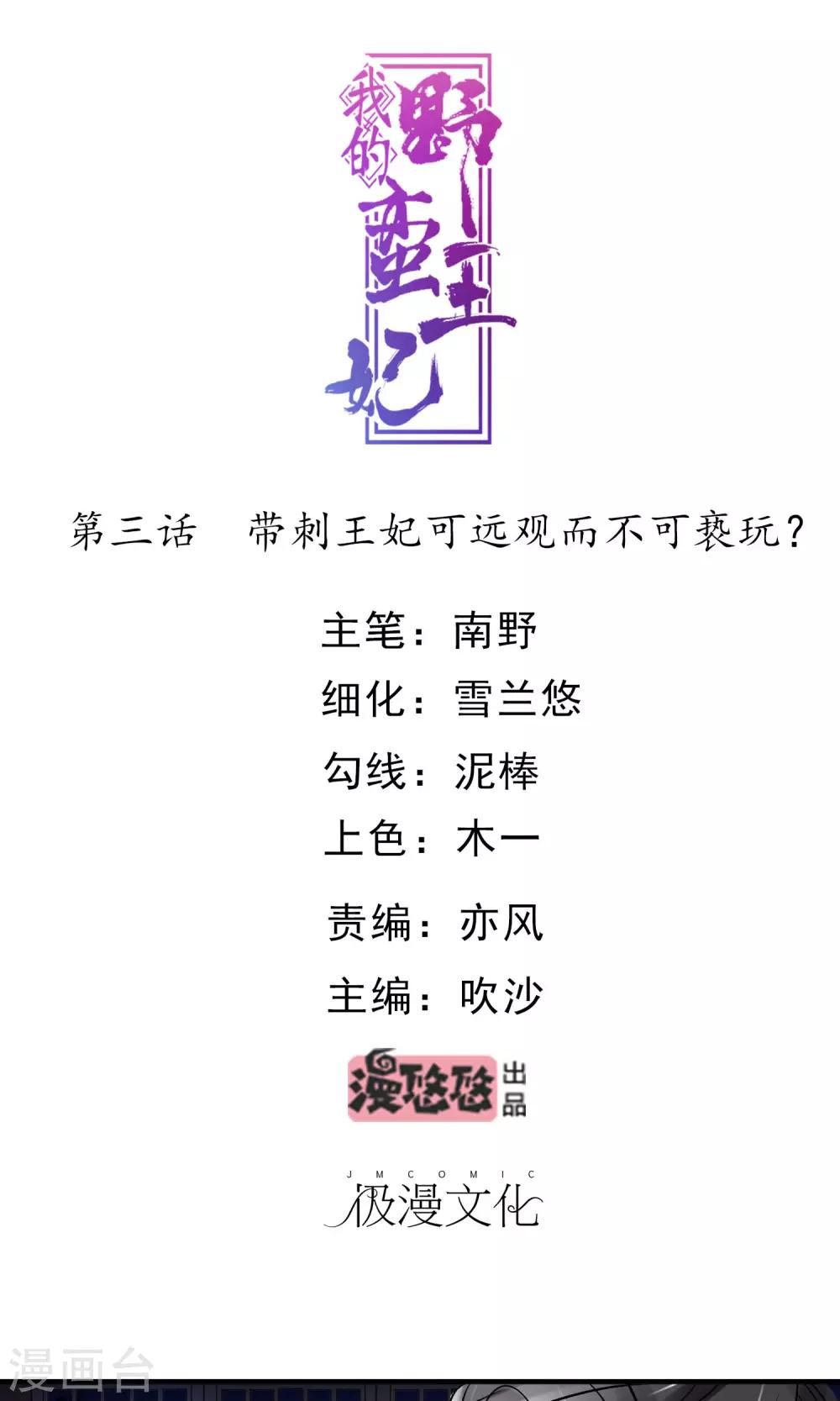 第3话 带刺王妃可远观而不可亵玩？0