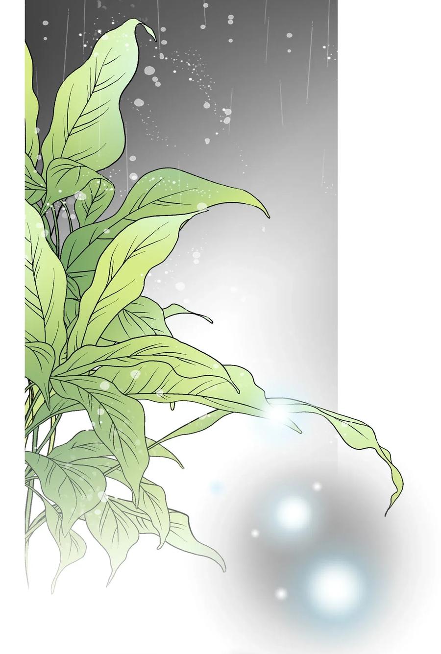 43 夜雨绵绵5