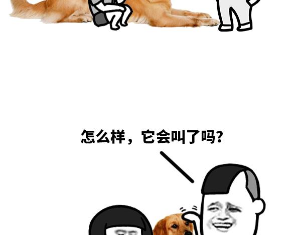 如此训狗3