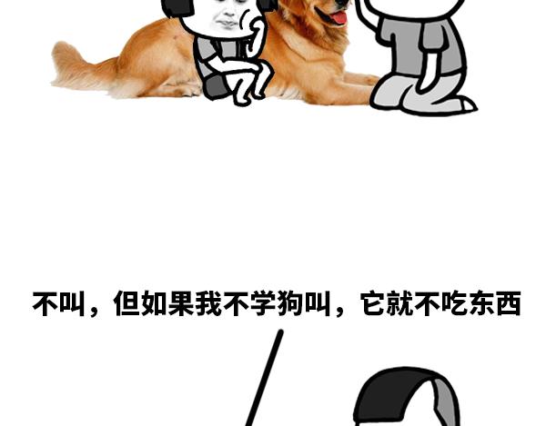 如此训狗4