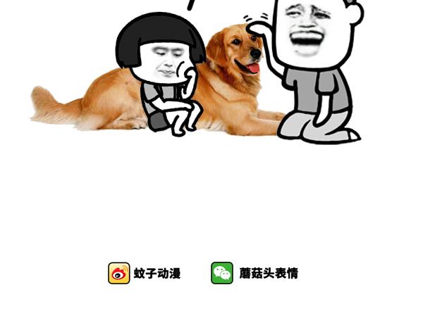 如此训狗5