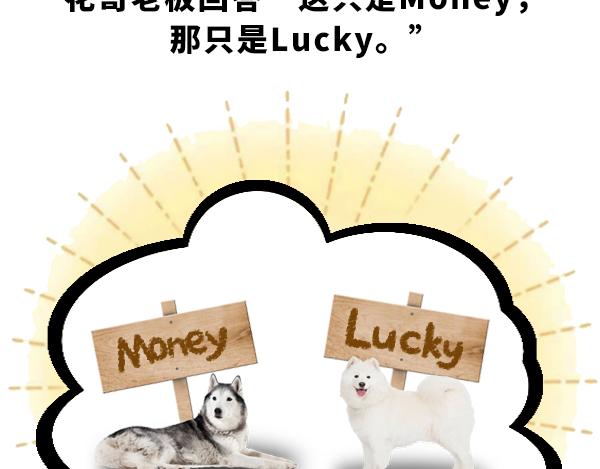 money和lucky3
