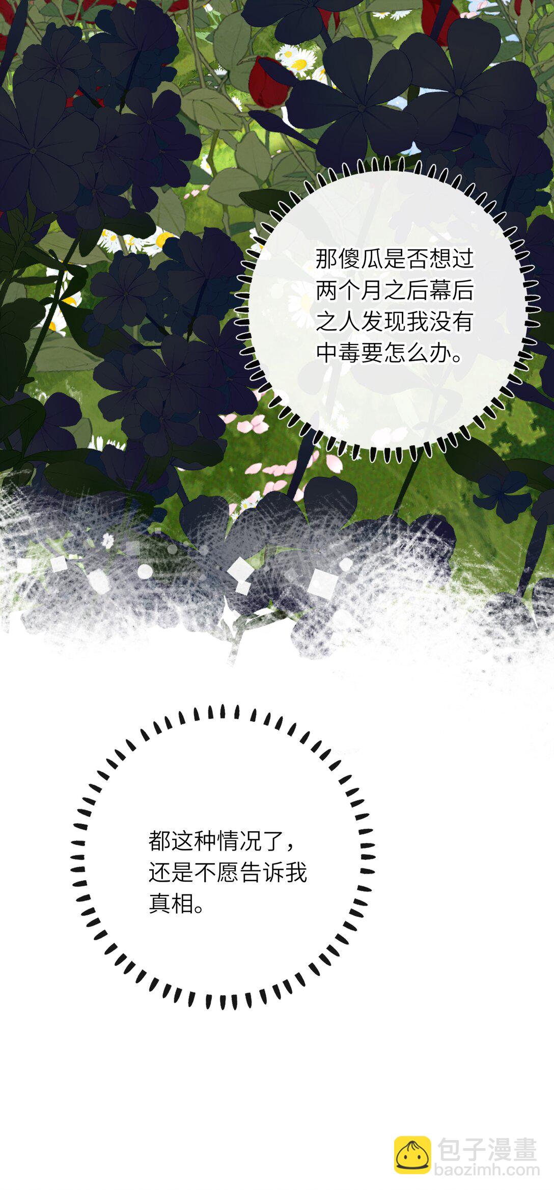 080 洞察37