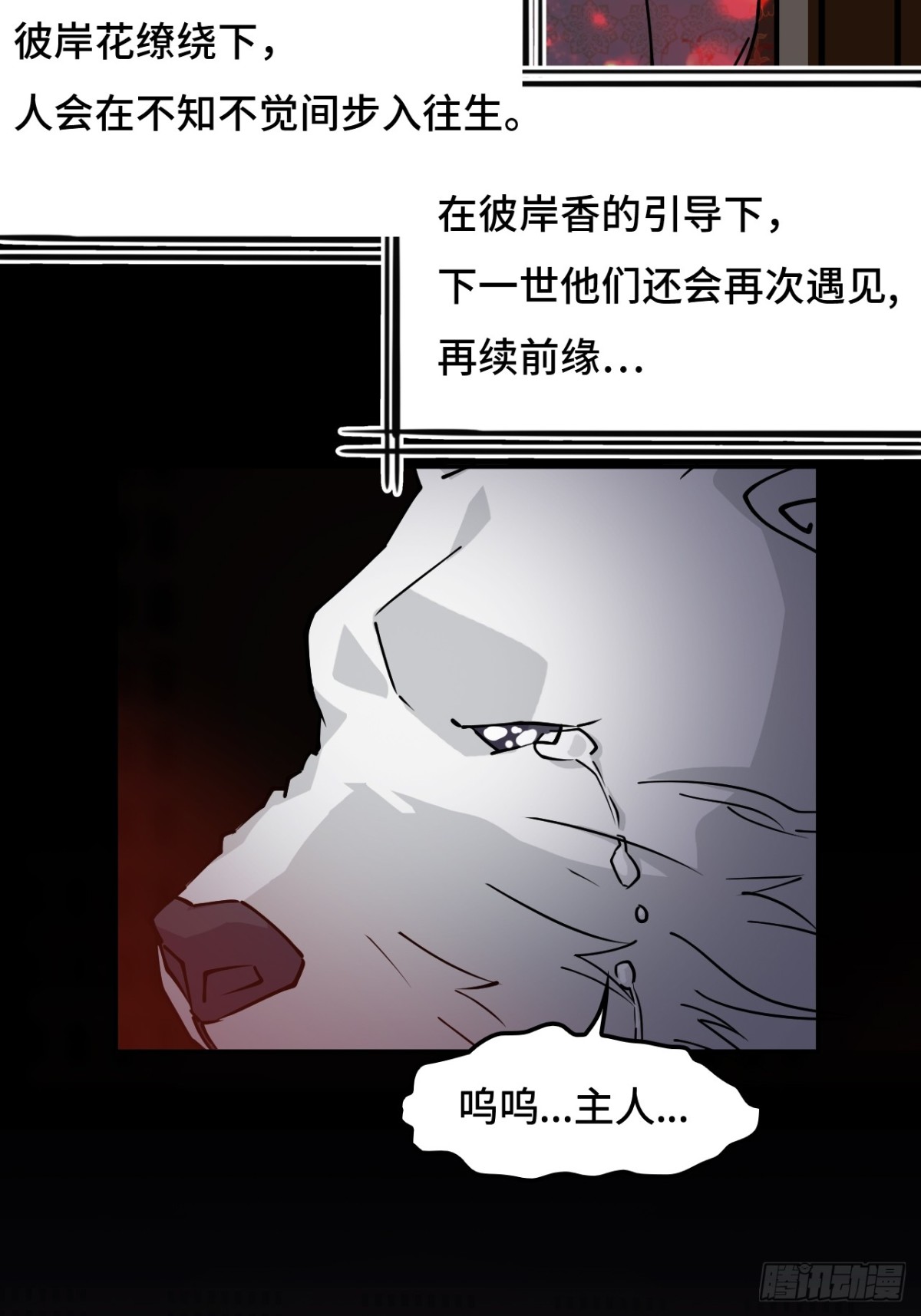 59彼岸香19