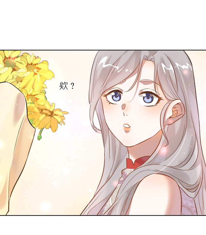 006 向日葵，就是永远追着它的太阳。27