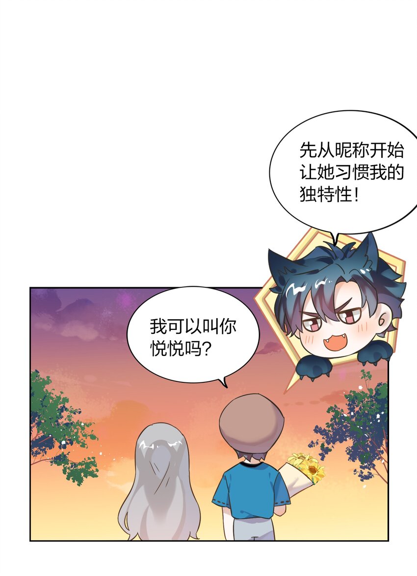 006 向日葵，就是永远追着它的太阳。42