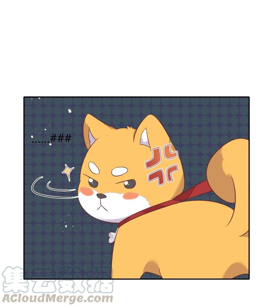 057 柴柴跑丢了？！42