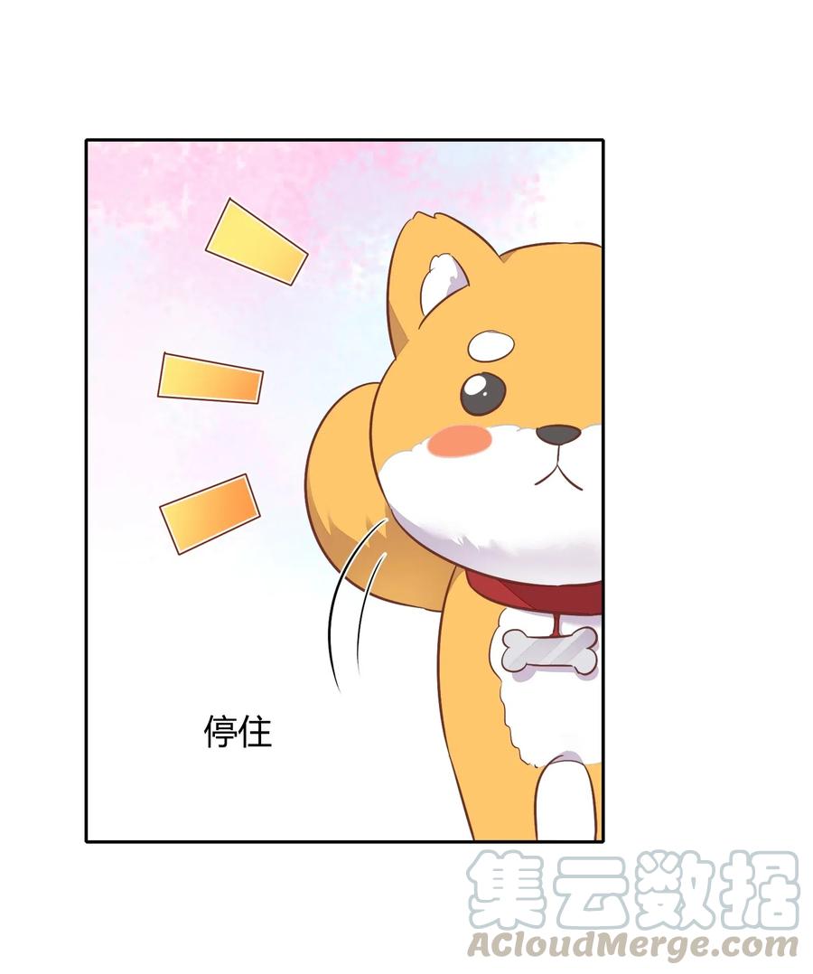 057 柴柴跑丢了？！45