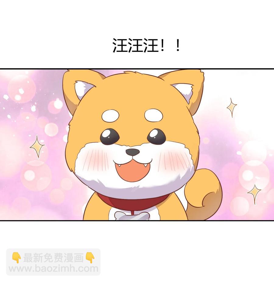 057 柴柴跑丢了？！47