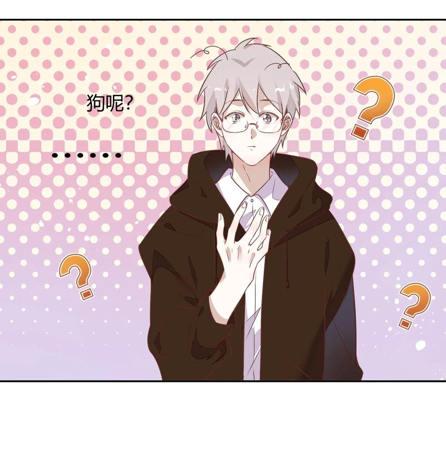 057 柴柴跑丢了？！49