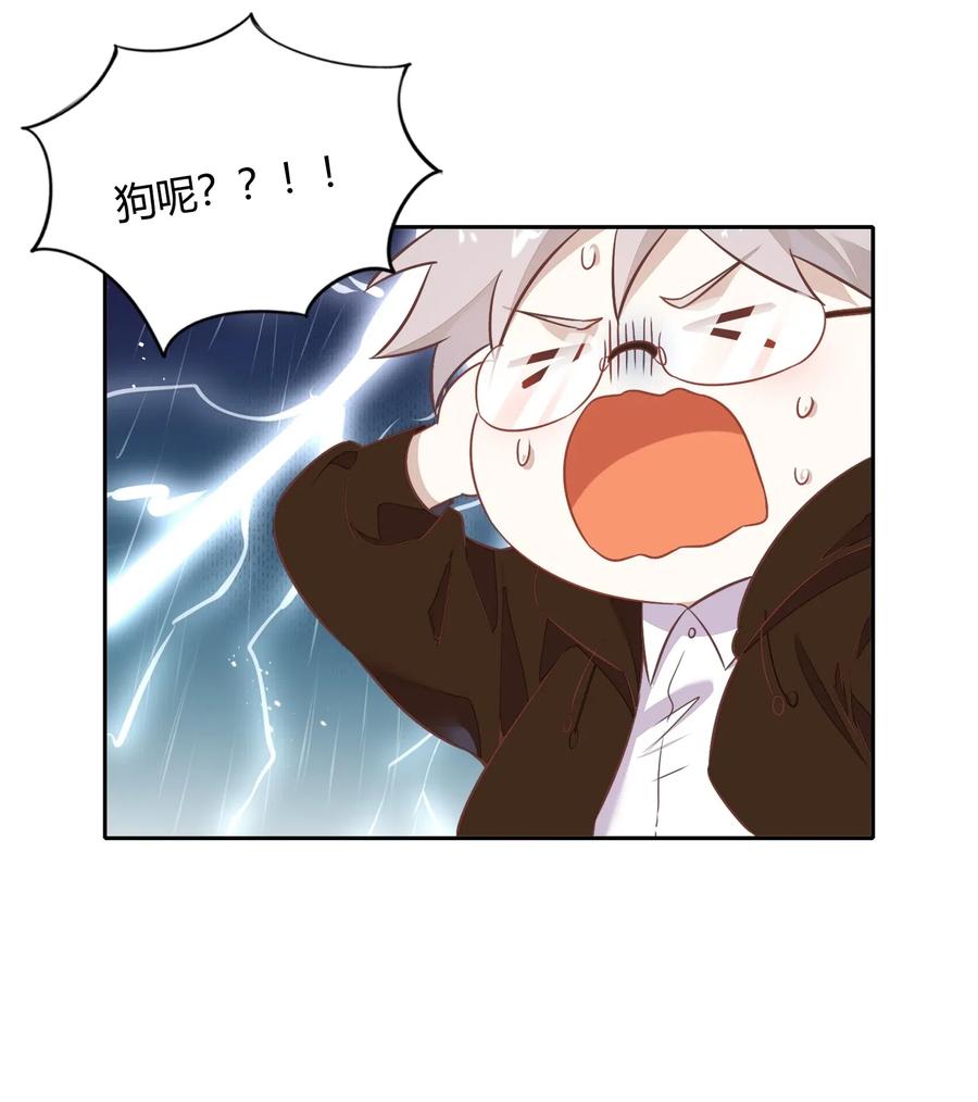 057 柴柴跑丢了？！54