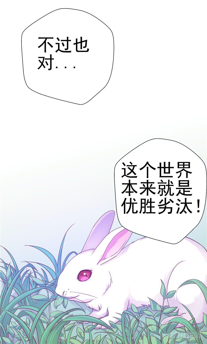 37 弱肉强食 胜者为王35