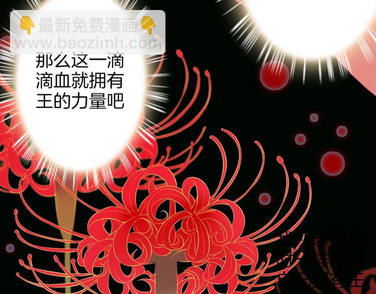 第48话  王之血统16