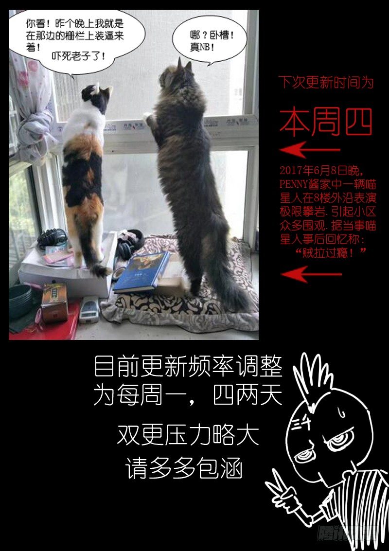 四倍8