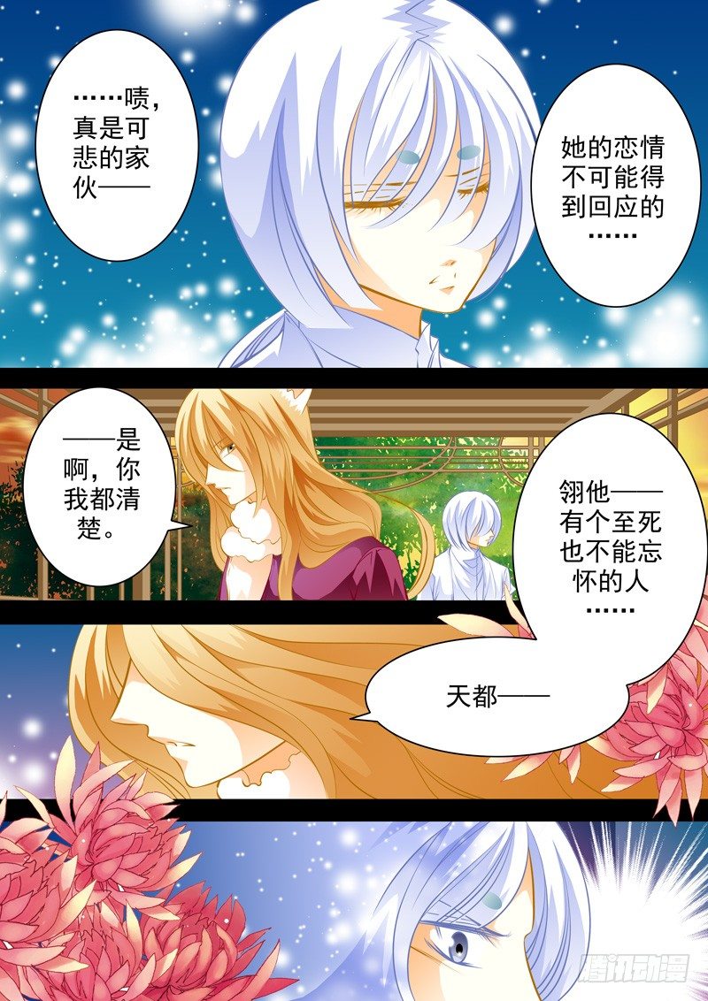 第五十一回 天都9