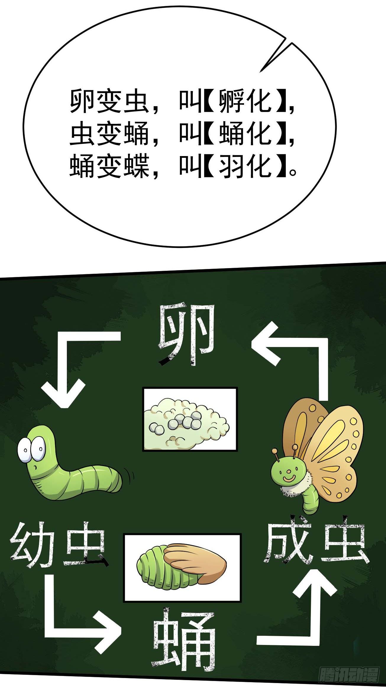 第97话 上清下浊成天地27