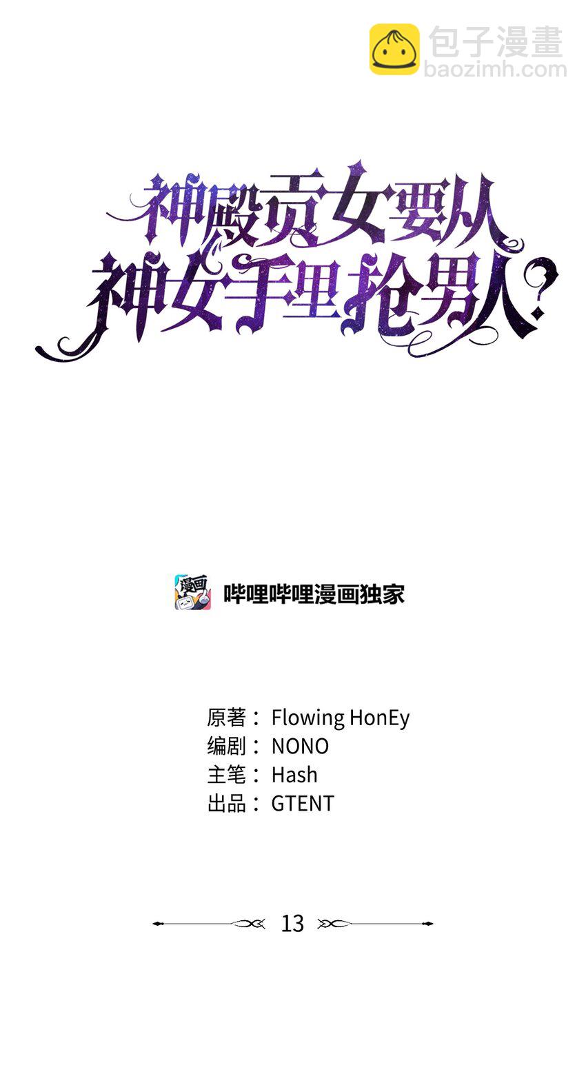 13 今后计划10