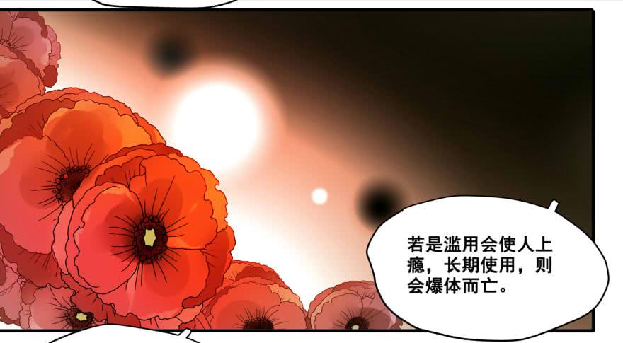 丘葵与祖传秘方17