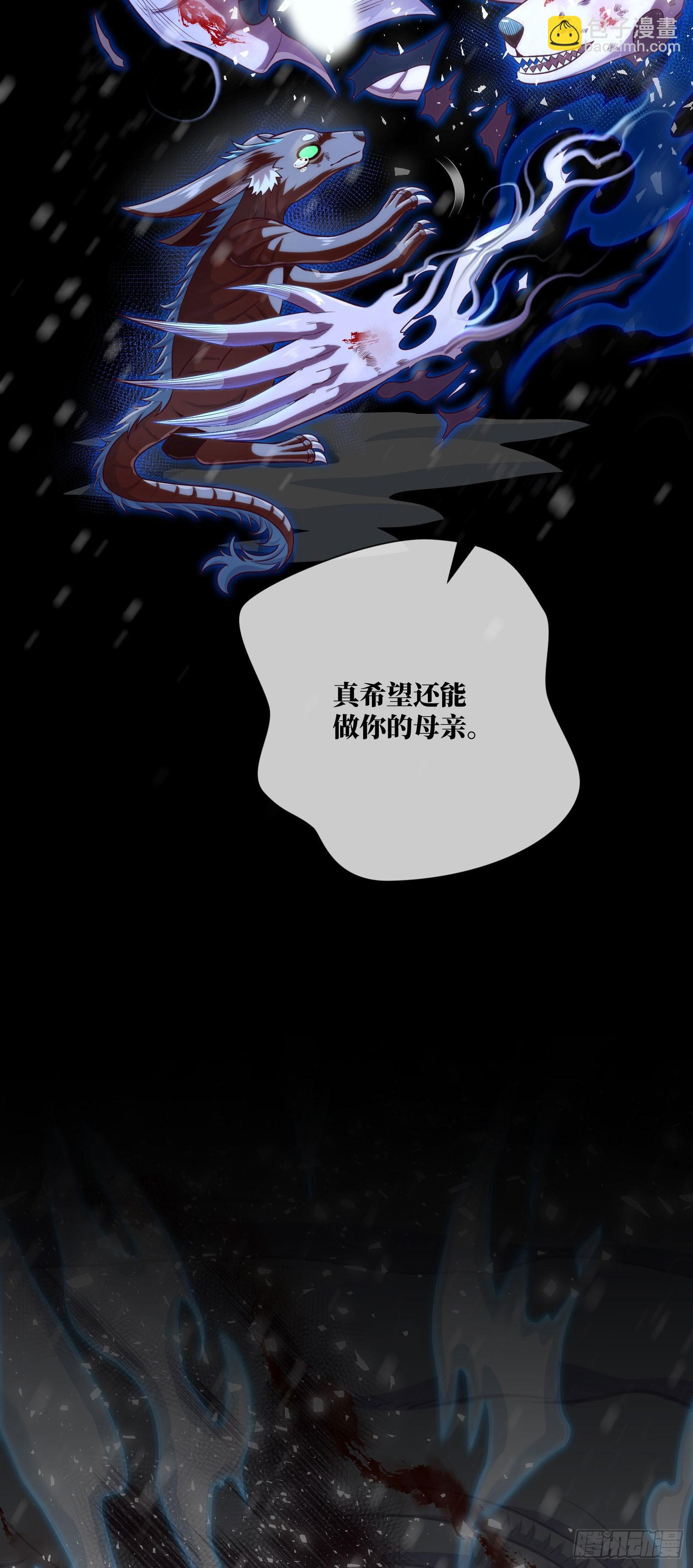 第57话 遗言与遗愿28
