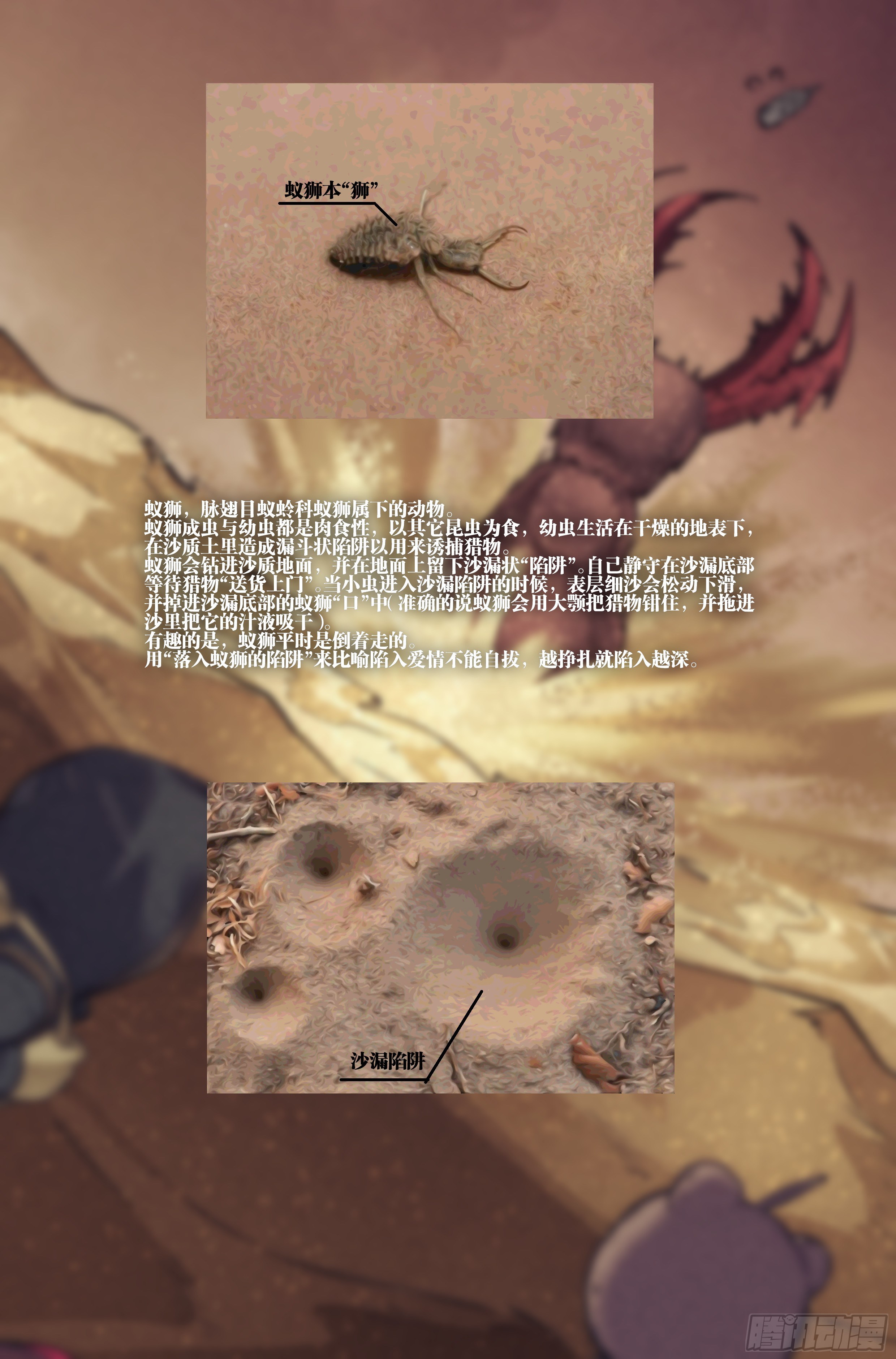 22.沙城贼影之章·蚁狮的陷阱19
