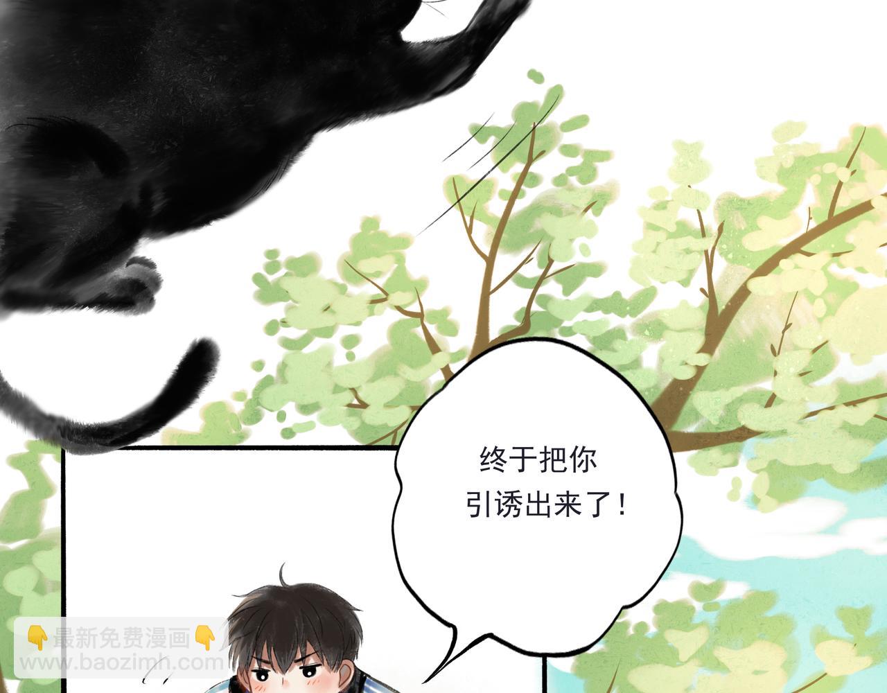 33.花树之下36