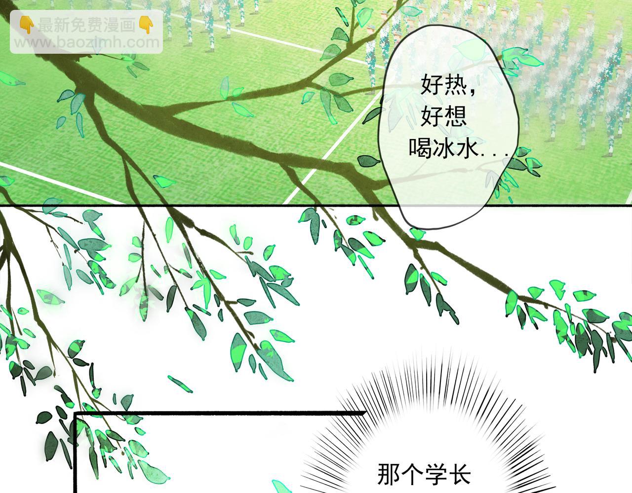 39.至真5
