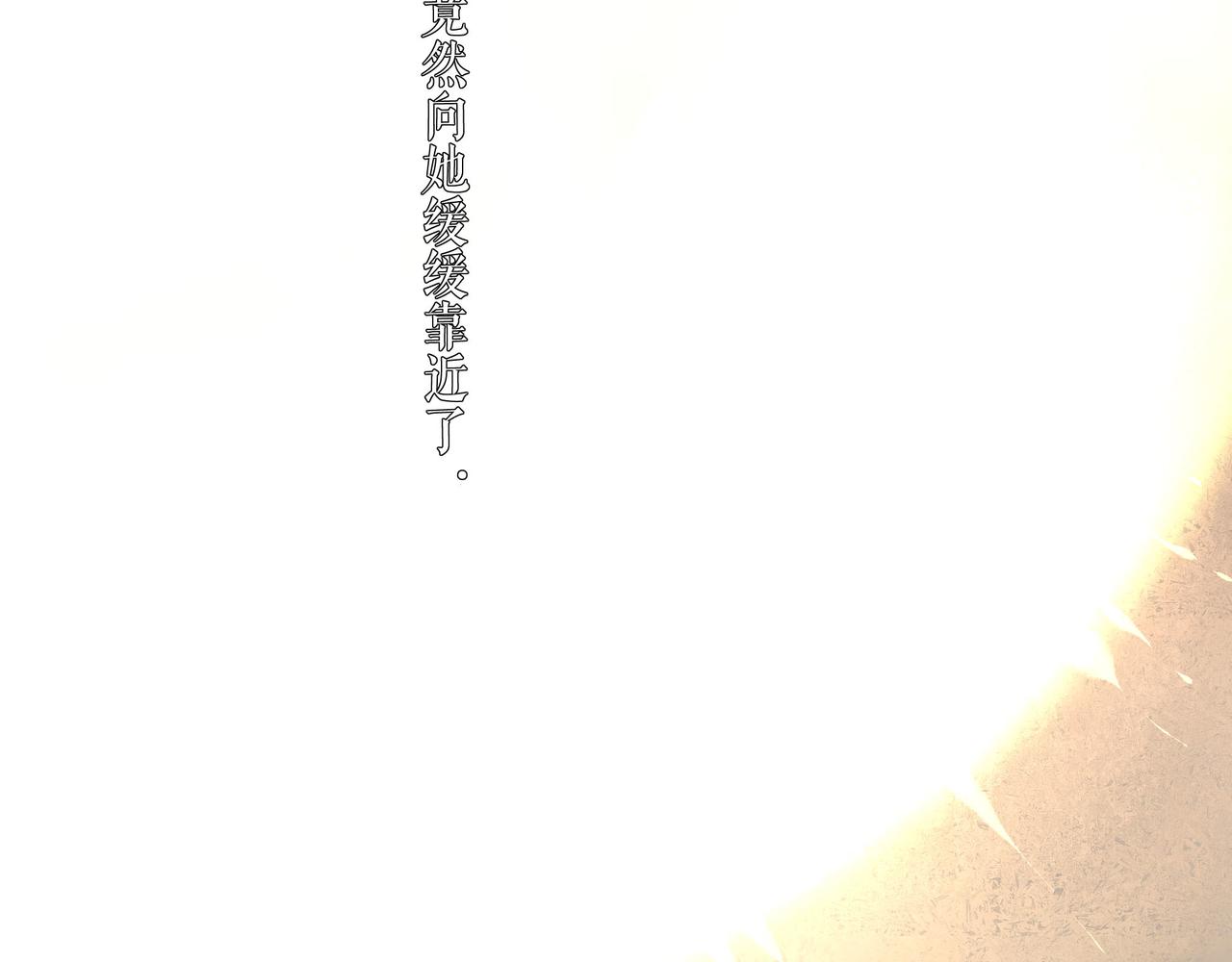 74.冷光12