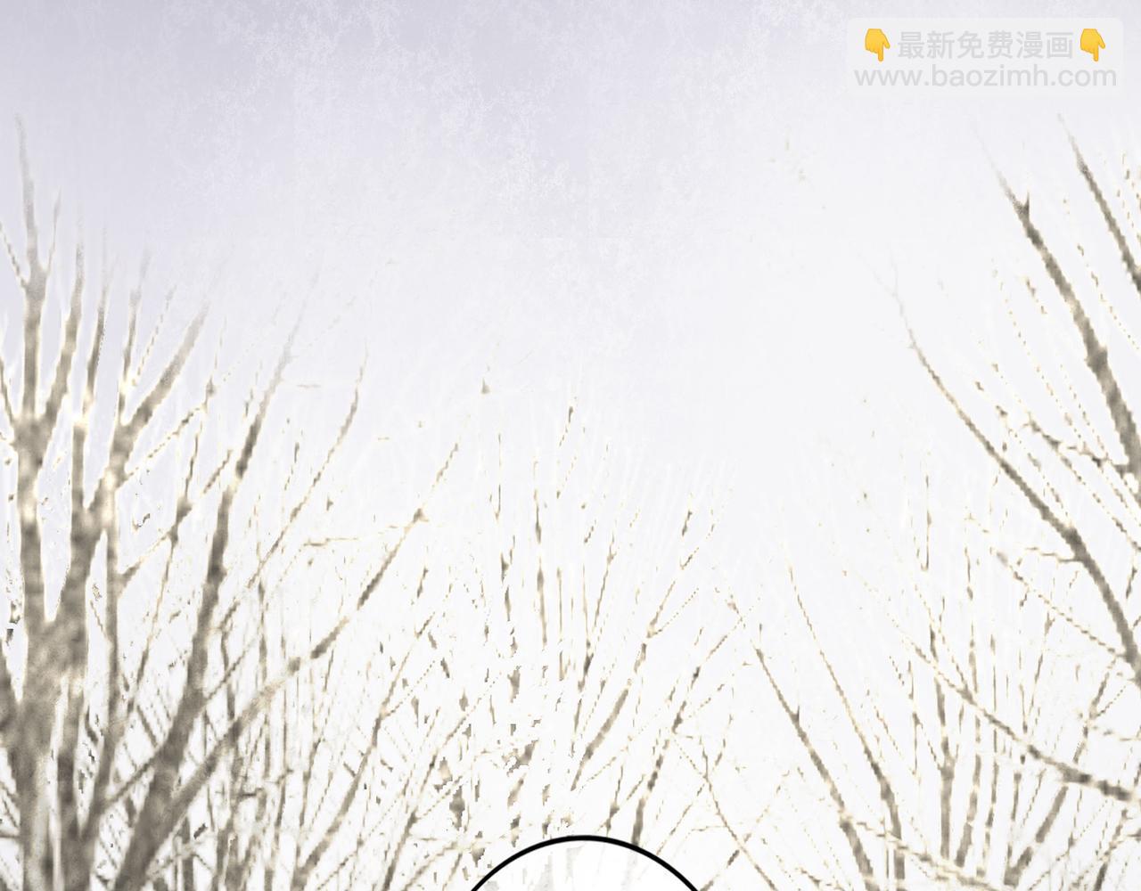 74.冷光37