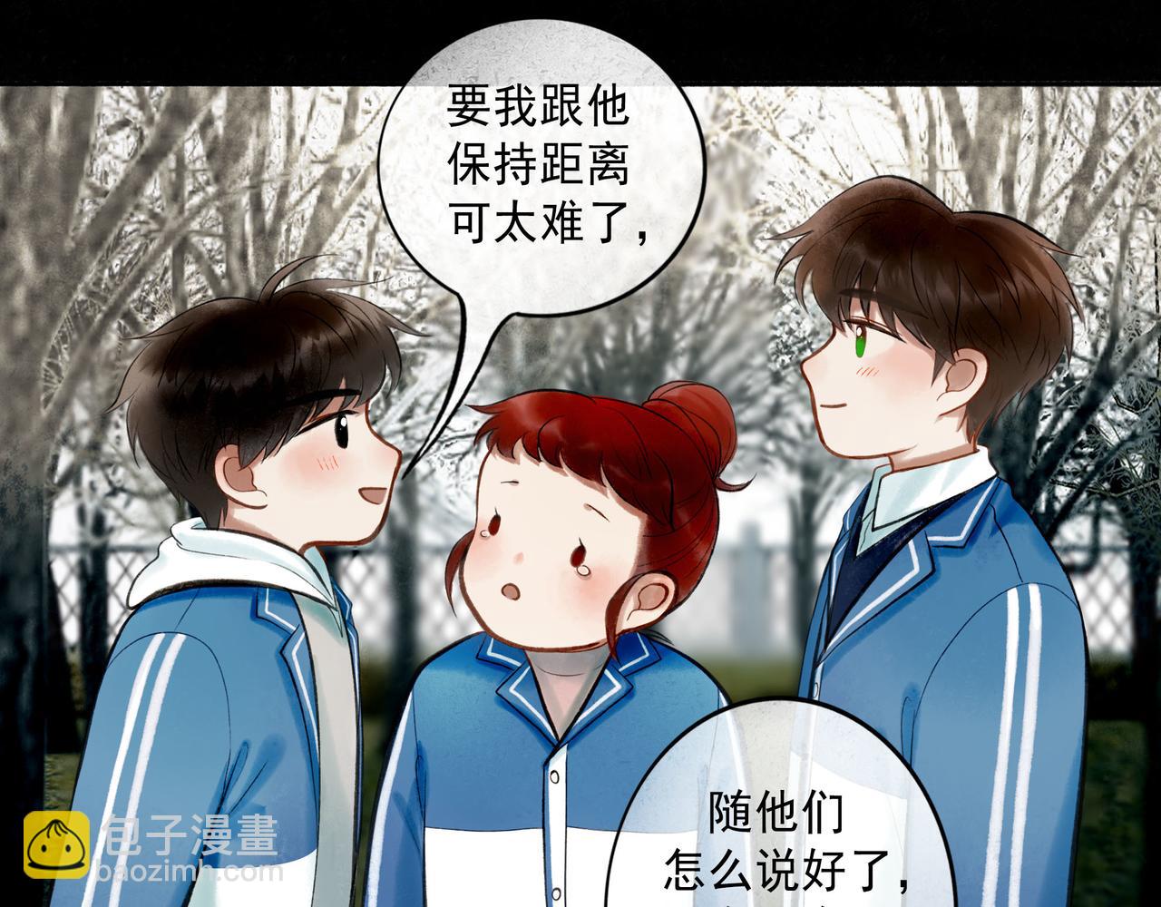 74.冷光40