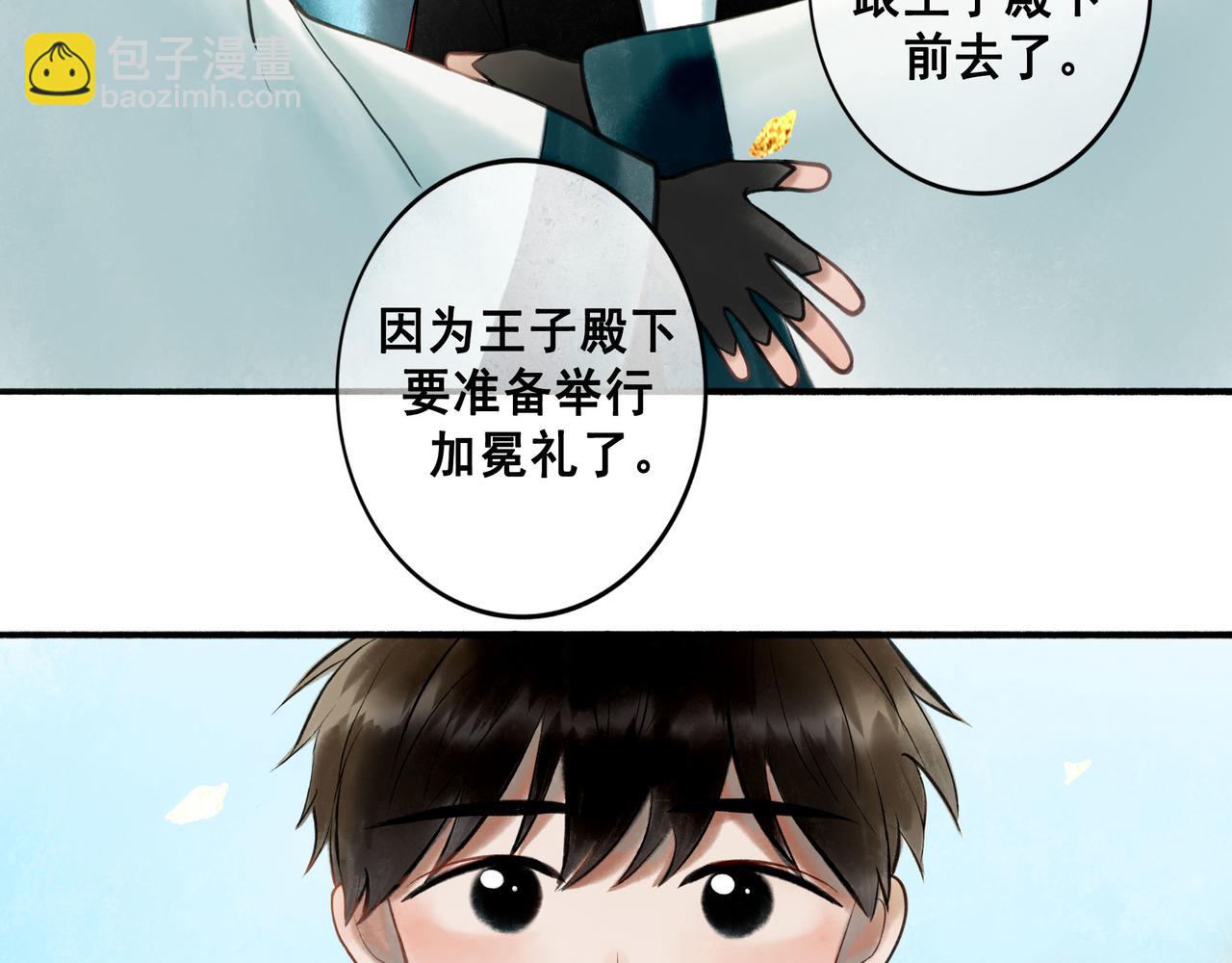 76.夜行之鸟11