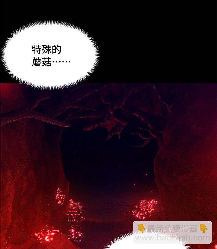 第31片 丛林探险36