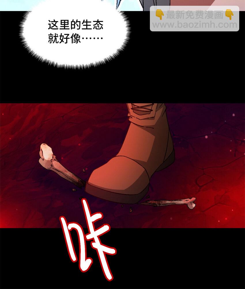 第31片 丛林探险38