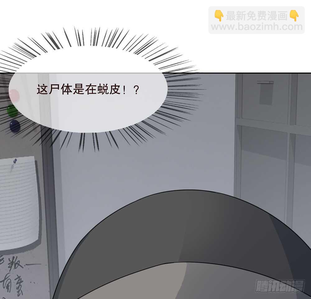 第五季：代替74