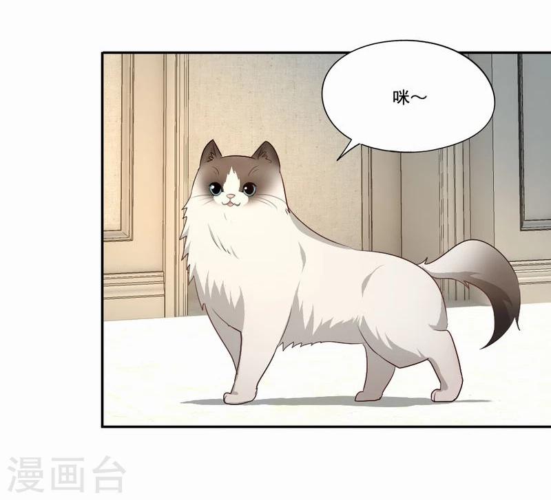 第53话 求助猫大王10