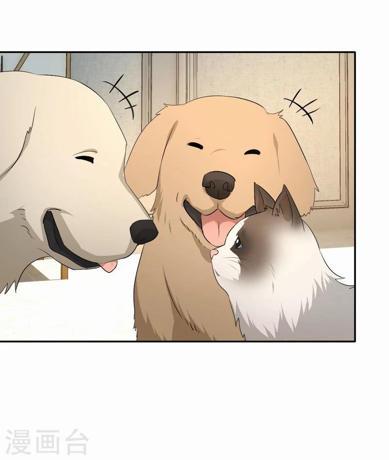 第53话 求助猫大王11