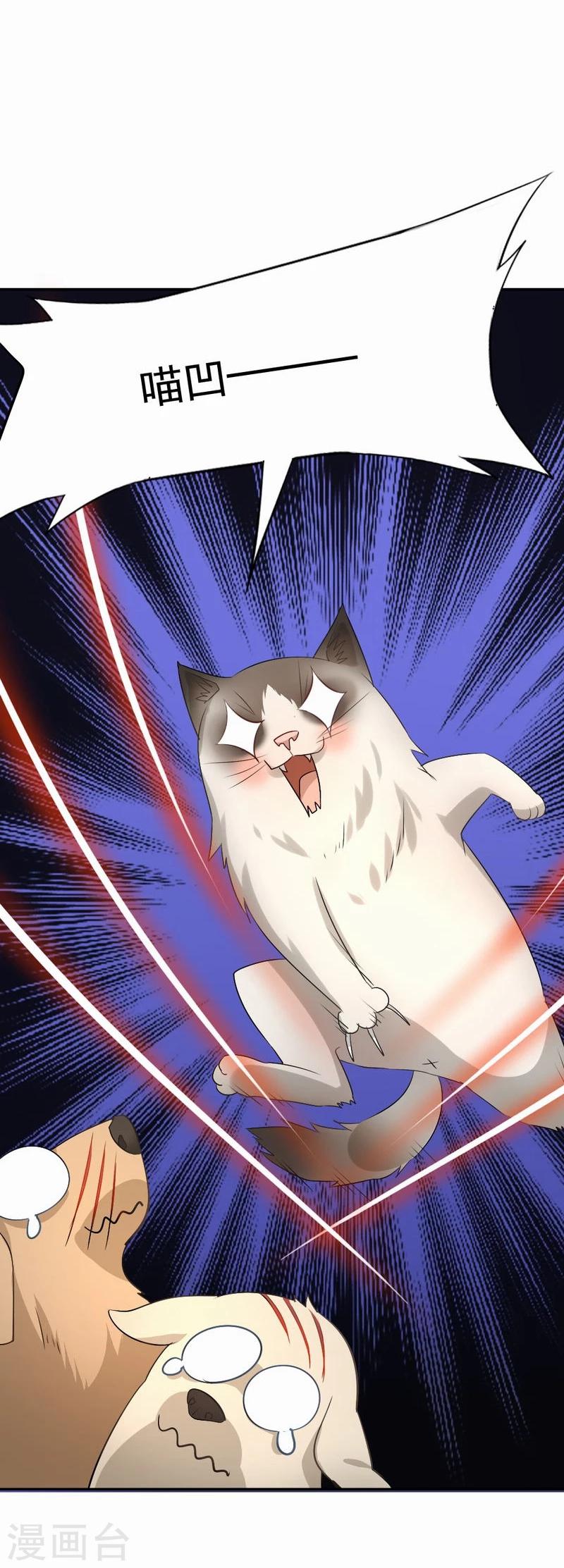 第53话 求助猫大王12