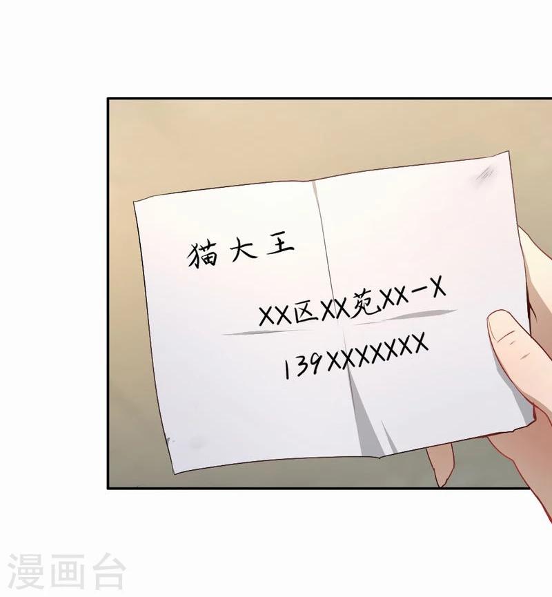 第53话 求助猫大王18
