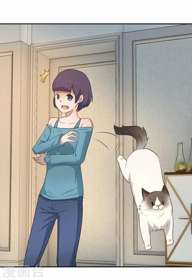 第53话 求助猫大王9