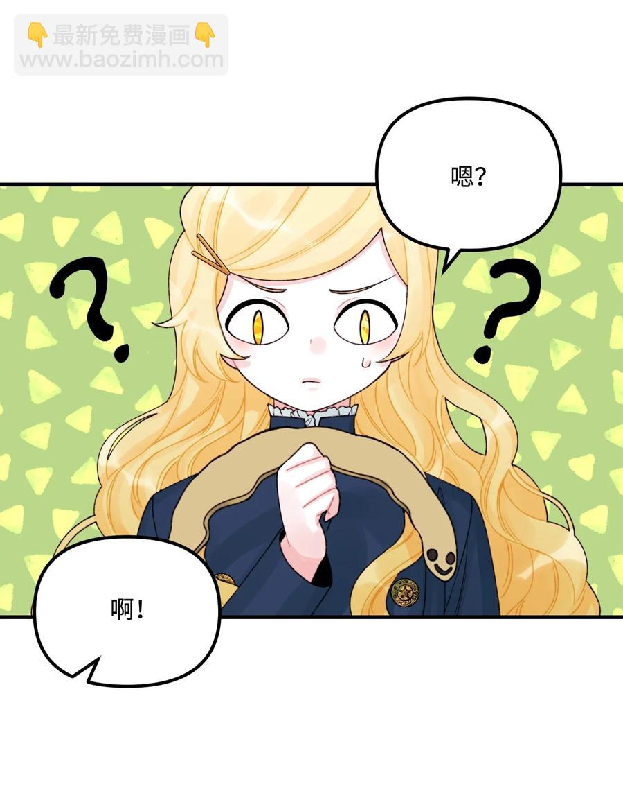 33 阿爸讨厌动物？41