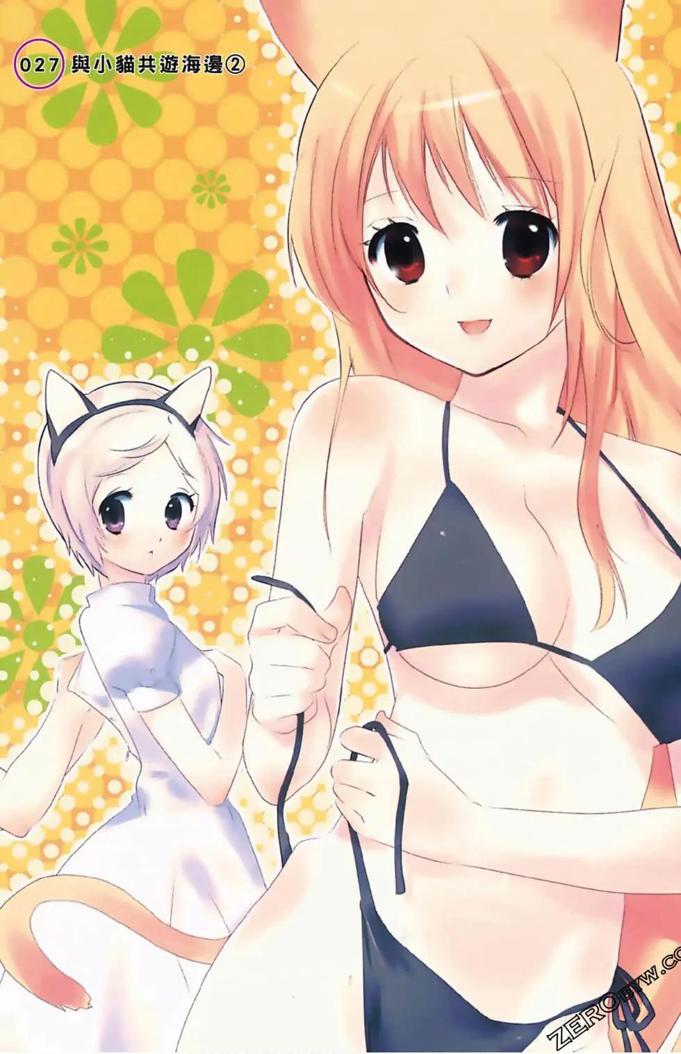 第06卷3