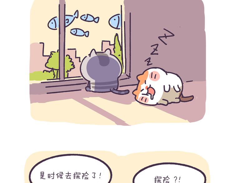 第2话 猫咪历险记1