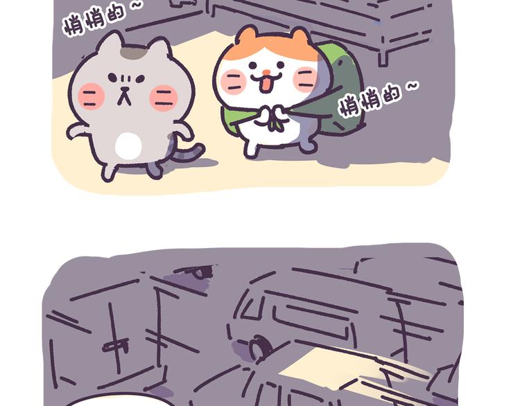 第2话 猫咪历险记3