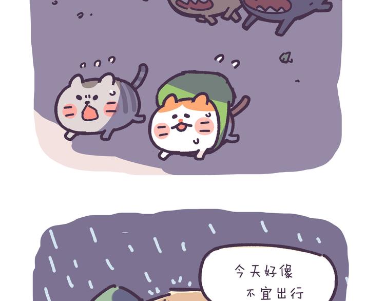第2话 猫咪历险记5