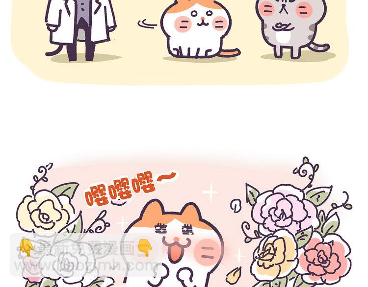第13话 催眠11