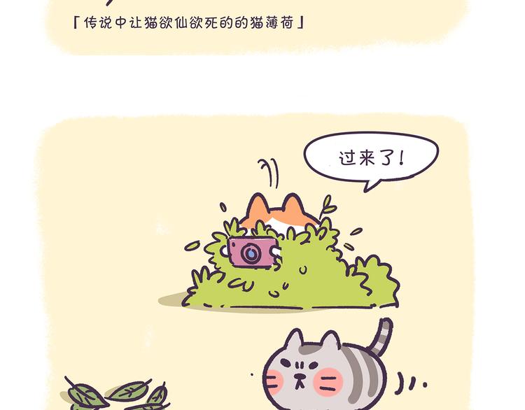 第24话 万万没想到2
