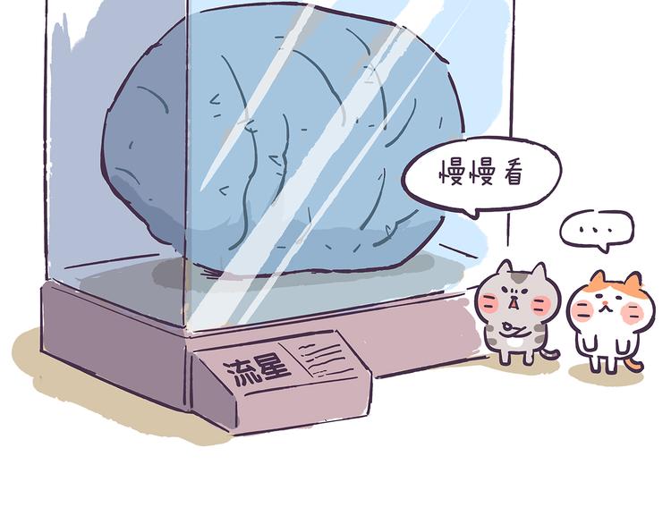 第40话 陪你去看流星雨13