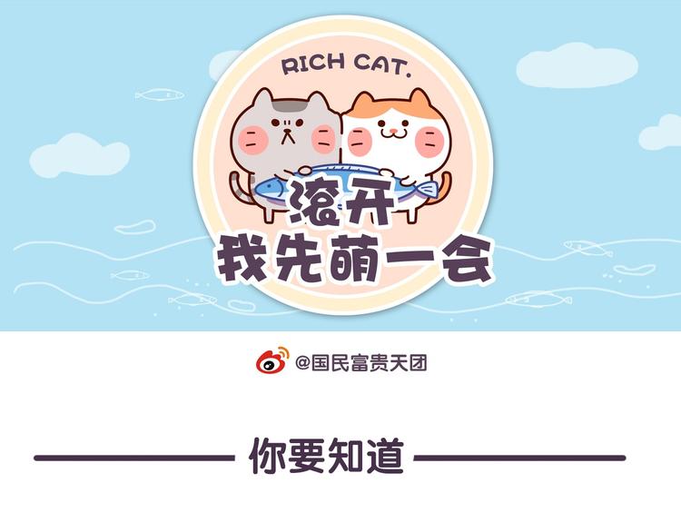 第41话 铲屎官必读0