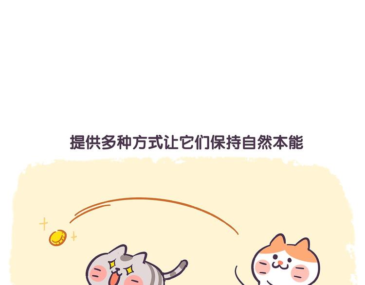 第41话 铲屎官必读4